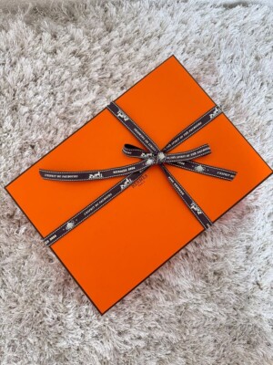 Hermes Scarf Stole ROAAAAAR ! Carre H 100 Silk w/ Box and Brown