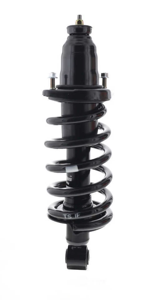 Strut-plus Suspension Strut & Coil Spring Assembly fits 2003-2011 Honda Element - Imagem 2 de 4