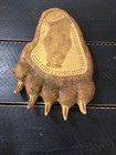 Grizzly Bear Paw Cribbage Board Composite Print From Alaska - No Pegs 8x12” — photo 4