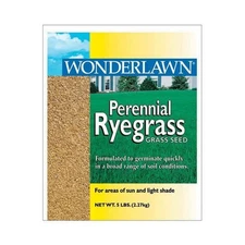 Barenbrug 71570 Perennial Ryegrass Lawn Seed Blend  5 lbs