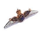 WW1 RFC Enamel badge  RAF