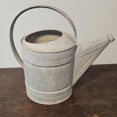 Metal Standard Watering Can, Silver, Large Filling Opening, Long Spout