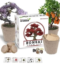 Bonsai Tree Kit - Grow 5 Species of Bonsai Tree w/ Our All-in-One Plant Kit: Bon