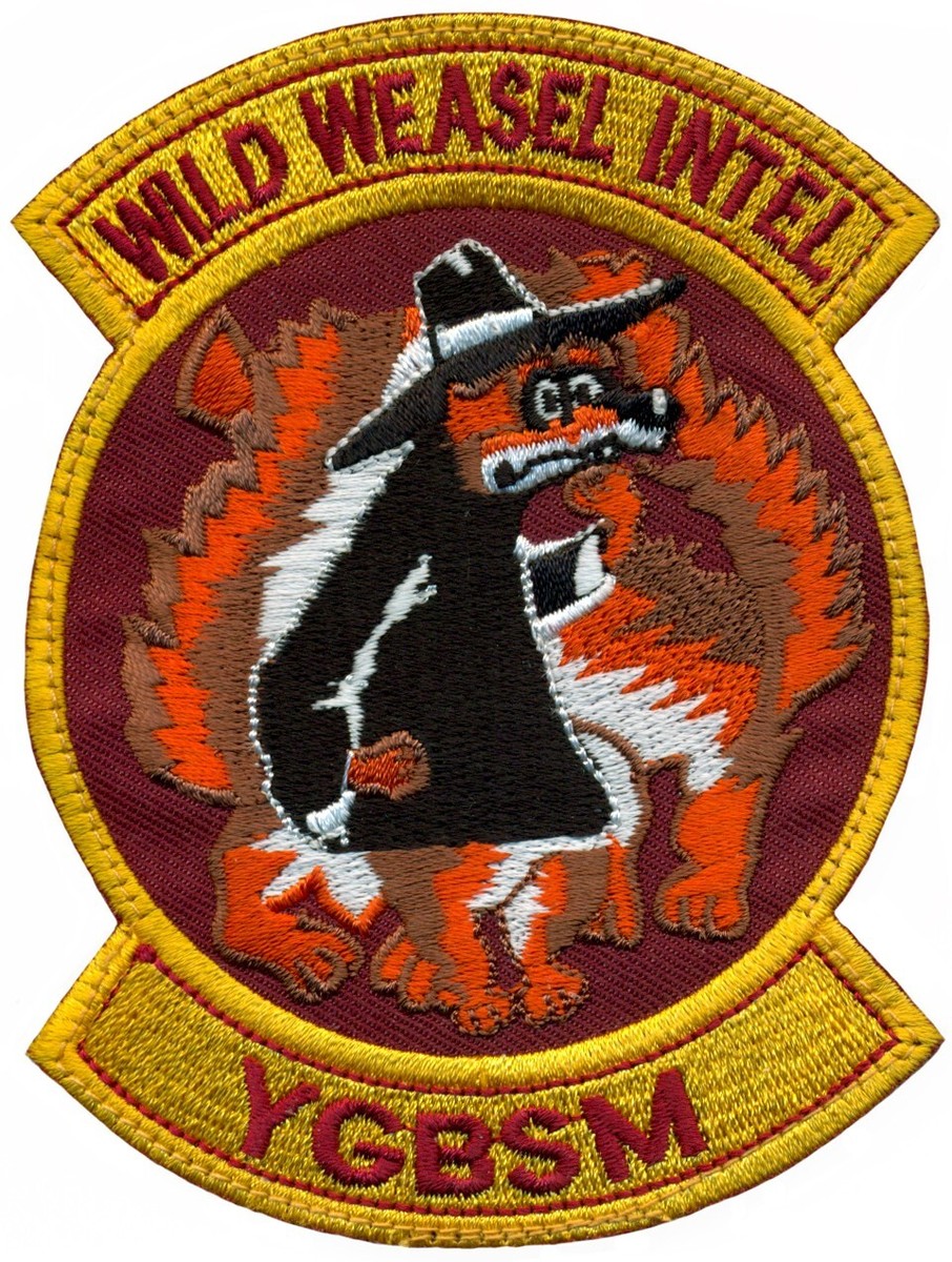USAF WILD WEASEL INTELLIGENCE PATCH | eBay