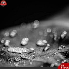 Bild 8 von 8