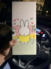 Starbucks Miffy Rabbit Stuffed Animal Plush Boxed Green Apron Outfit — photo 2