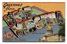 Vintage West Virginia Linen Postcard State Capitol Charleston Rhododendron