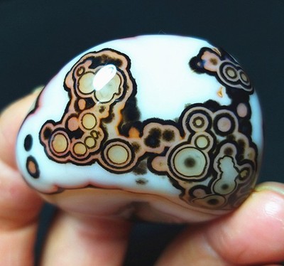TOP 38.8g Natural Polished Silk Banded Lace Agate Stone Madagascar A4907