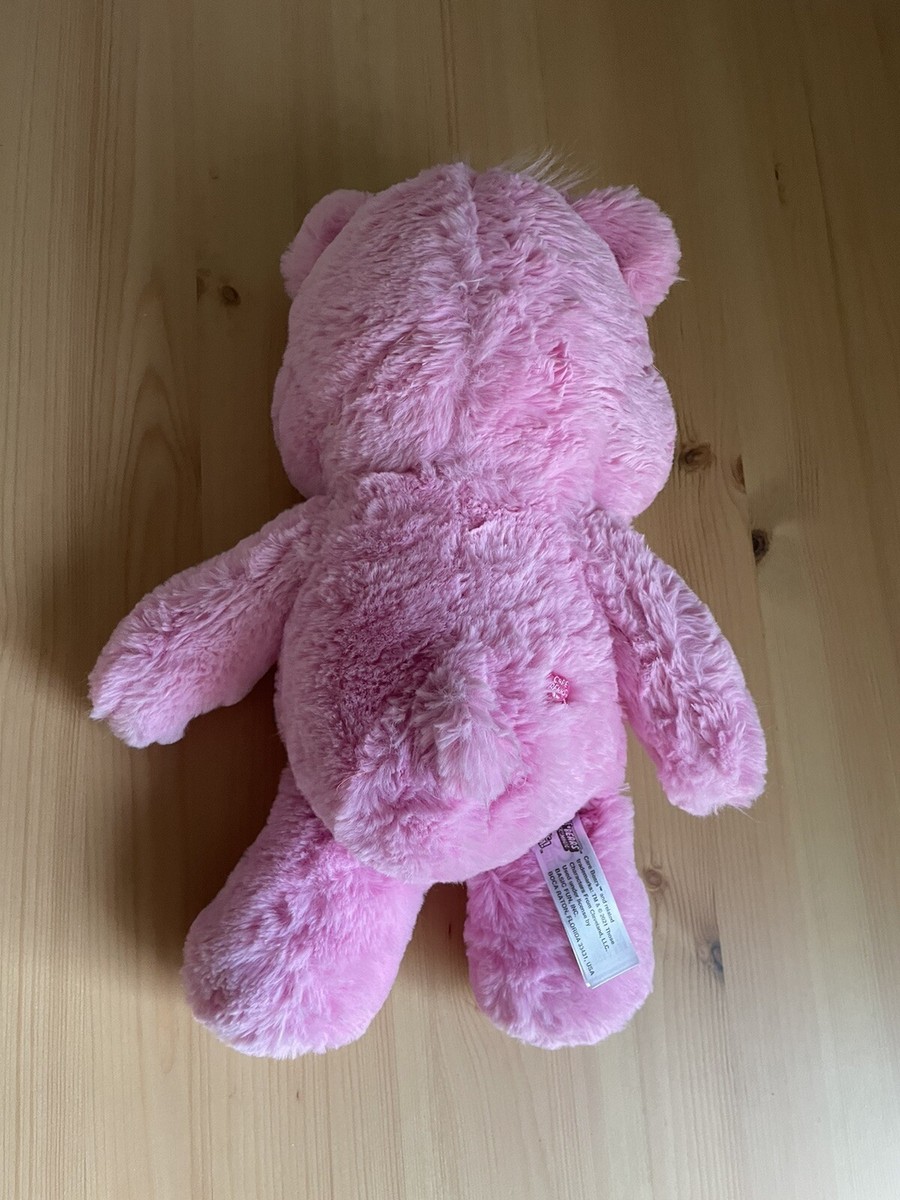 Care Bears Hopeful Heart Bear 14