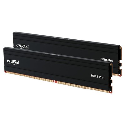 Pro 48GB Kit (2x24GB) DDR5 RAM, 6000MHz (or 5600MHz or 5200MHz or 4800MHz) De...