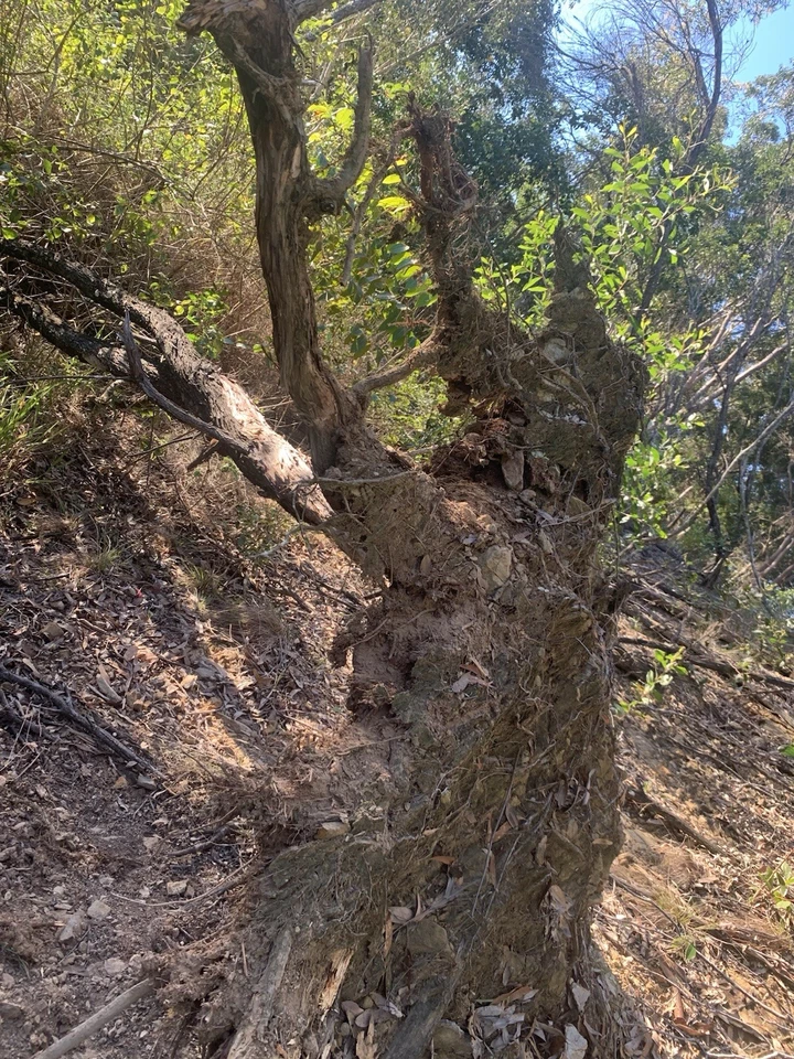 Tinte de cuero RB en polvo natural Foto 4 de 4