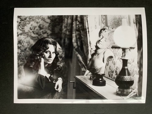 SOPHIA LOREN - Rare Original Vintage Press Photo