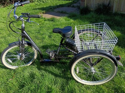 mission electric trike
