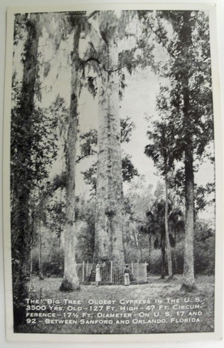 FL. ORLANDO, FLORIDA. 5 RPPC POSTCARD LOT. B & W REAL EKC PHOTO! UNPOSTED #593 - Picture 6 of 9