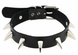 spiked collar human
