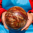 2PCS 6.82 LB Natural Petrified Wood Agate Sphere Crystal Healing Specimen 4093 — photo 7
