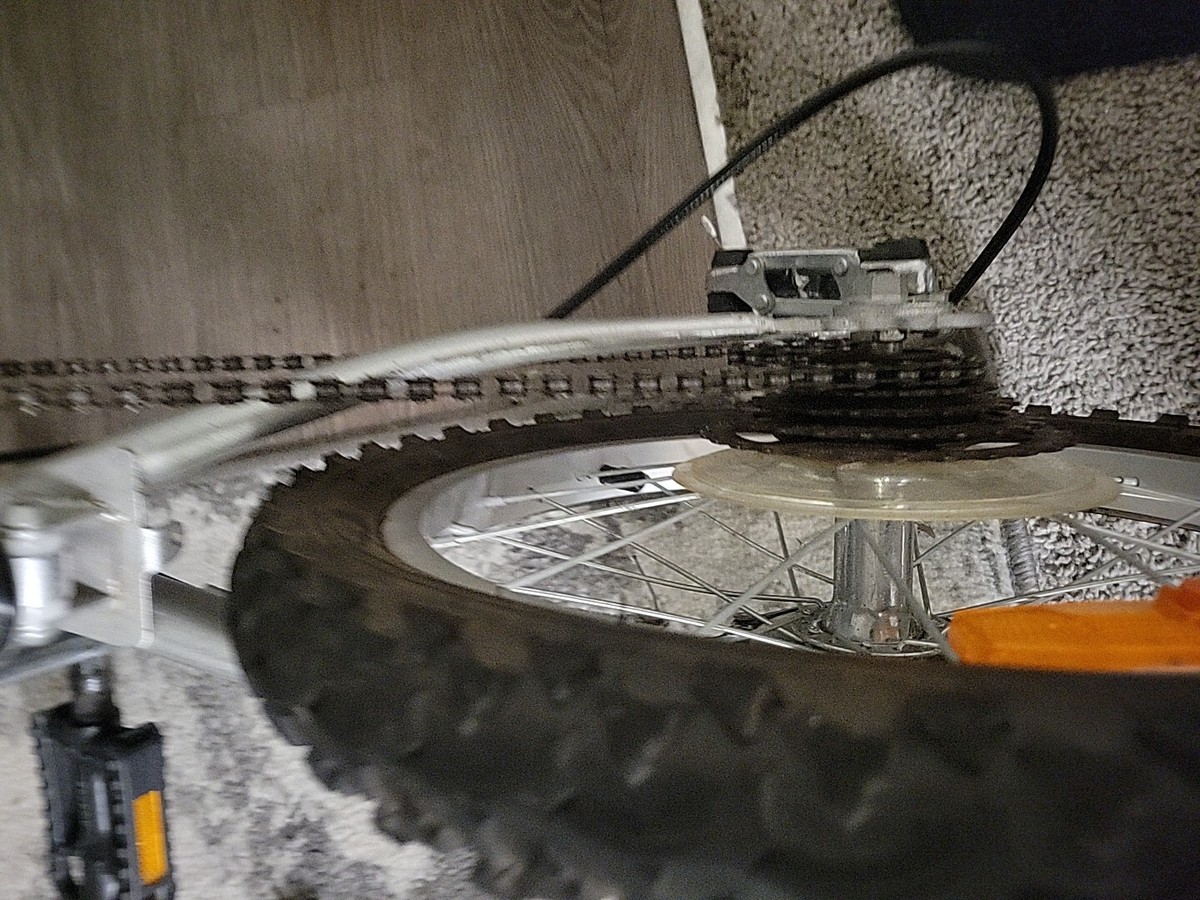 Collectors Edition Diet Bike