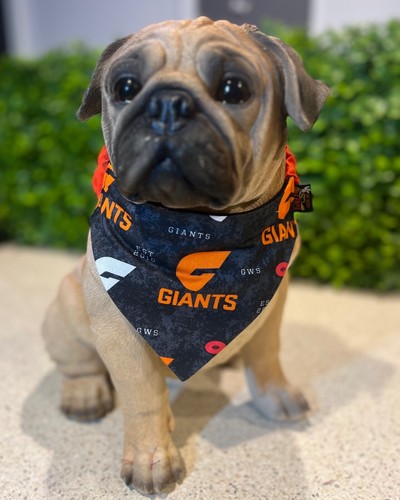 GWS GIANTS AFL Football Dog Collar, Lead, Doggy 'dana, Harness FUNKY FIDO - Picture 33 of 46