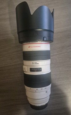 Canon EF 70-200mm f/2.8L Telephoto Zoom Lens with JJC LH-87