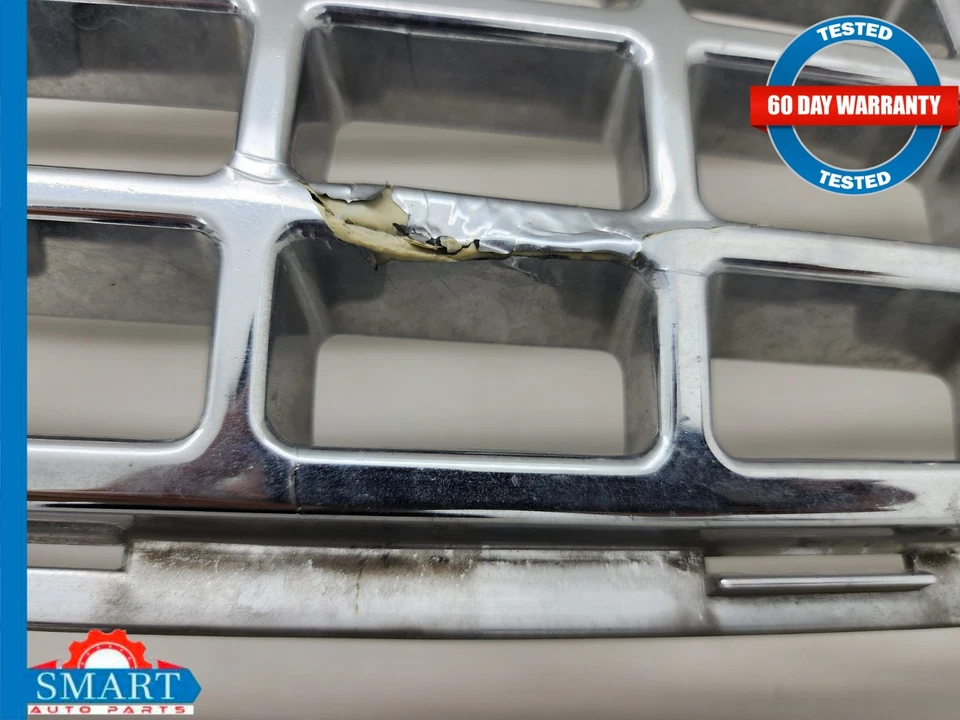 Cubierta de malla de rejilla de parachoques delantero Ford Thunderbird 02-05 OEM Foto 4 de 4