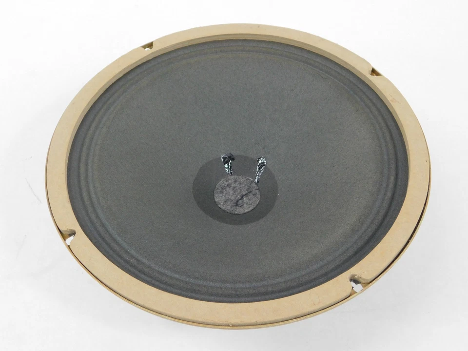 Altavoz Motorola Jensen Golden Voice 10" 8-Ohm Vintage Rango Completo (Bonito) Foto 4 de 4