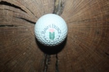VINTAGE GREEN AND WHITE PING EYE 2 GOLF BALL HAWAII PRINCE LOGO