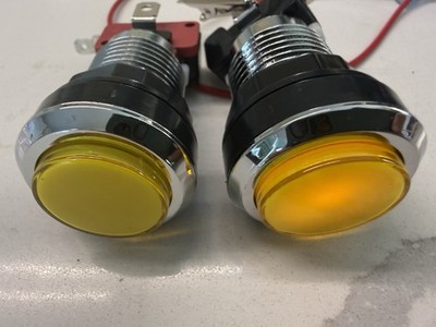Micro Switch W/LED (2pcs)