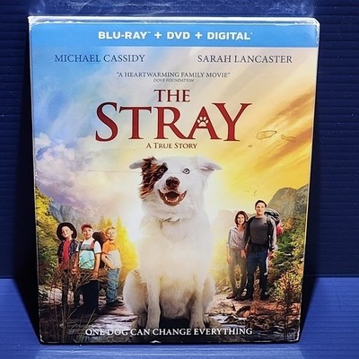 The Stray - Blu-ray - Bluray TRUE STORY! - NEW old warehouse stock x1