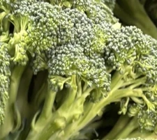 Overwintering Broccoli/purple Broccoli/Blue Star Gai Lan/Broccoli Aspabroc seeds