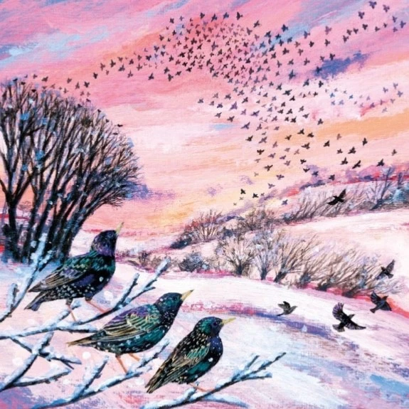 MUSEUMS AND GALLERIES Winter Murmurations - Art Xmas Christmas Cards Pack of 5 Starlings Birds Sunset