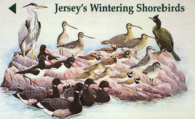 868 Phonecard Used Jersey Wintering Shorebirds