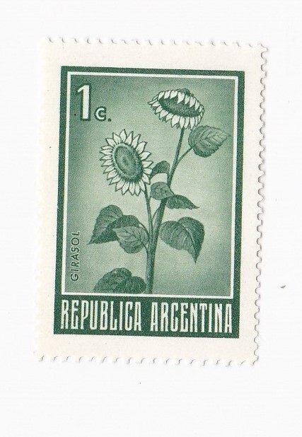 Argentina Republica Vintage Postage Stamp 1c Girasol
