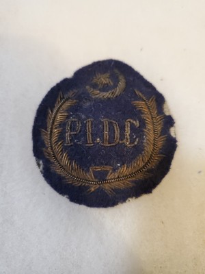 *Performing The duties Of The Pilot In Command Badge