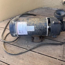 Spa Hot Tub Pump - Magnetek Century 2.6 3 Hp 2 Speed, 230 Volts,  Lasar