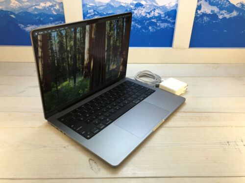 Apple MacBook Pro 2023 14" Laptop M3 512GB SSD 8GB RAM Gray Excellent 91 Cycles