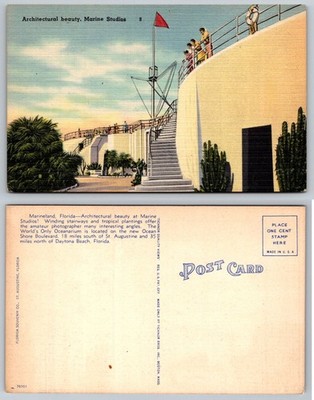 Vintage Marineland Florida Postcard Architectural Beauty Marine Studios Linen