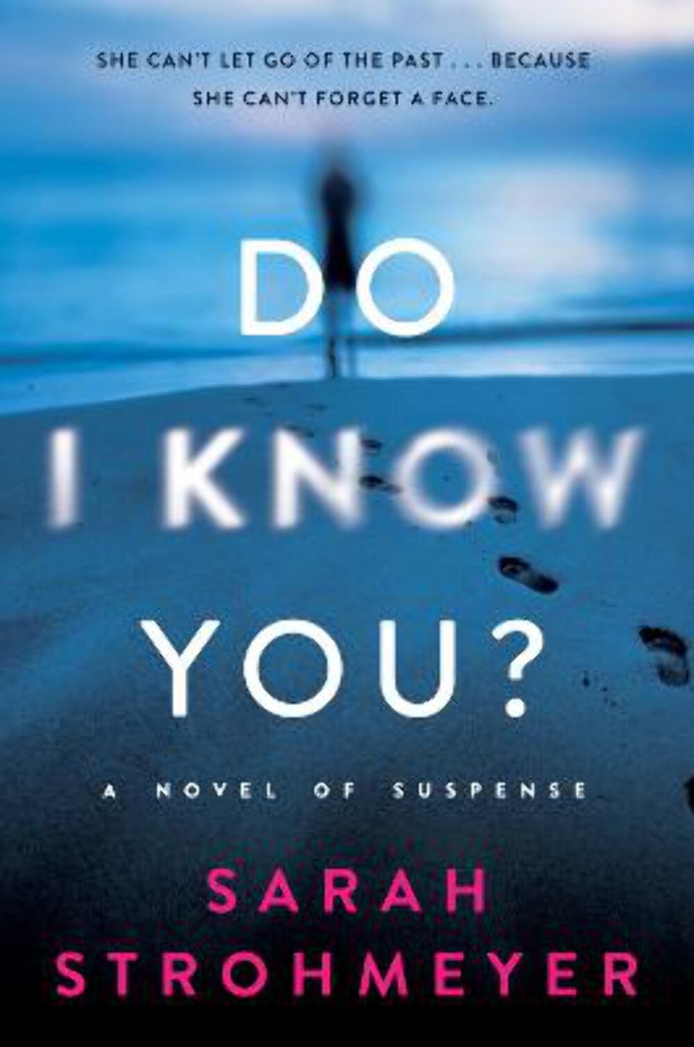 Sarah Strohmeyer: Do I Know You? [2021] hardback
