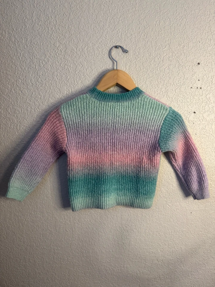 Suéter Jumping Beans niña niño pequeño talla 4T Foto 2 de 4