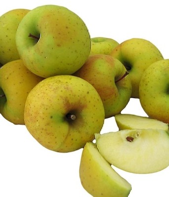Kauffman Orchards Fresh Goldrush Apples, Hand-Picked in Our Lancaster County...