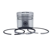 Kolben + Kolbenring-Satz (0,50 Mm-üBergrößE-82,50 Mm-3R): Kompatibel Mit Lombard