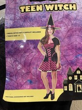 Teen Witch Halloween Costume