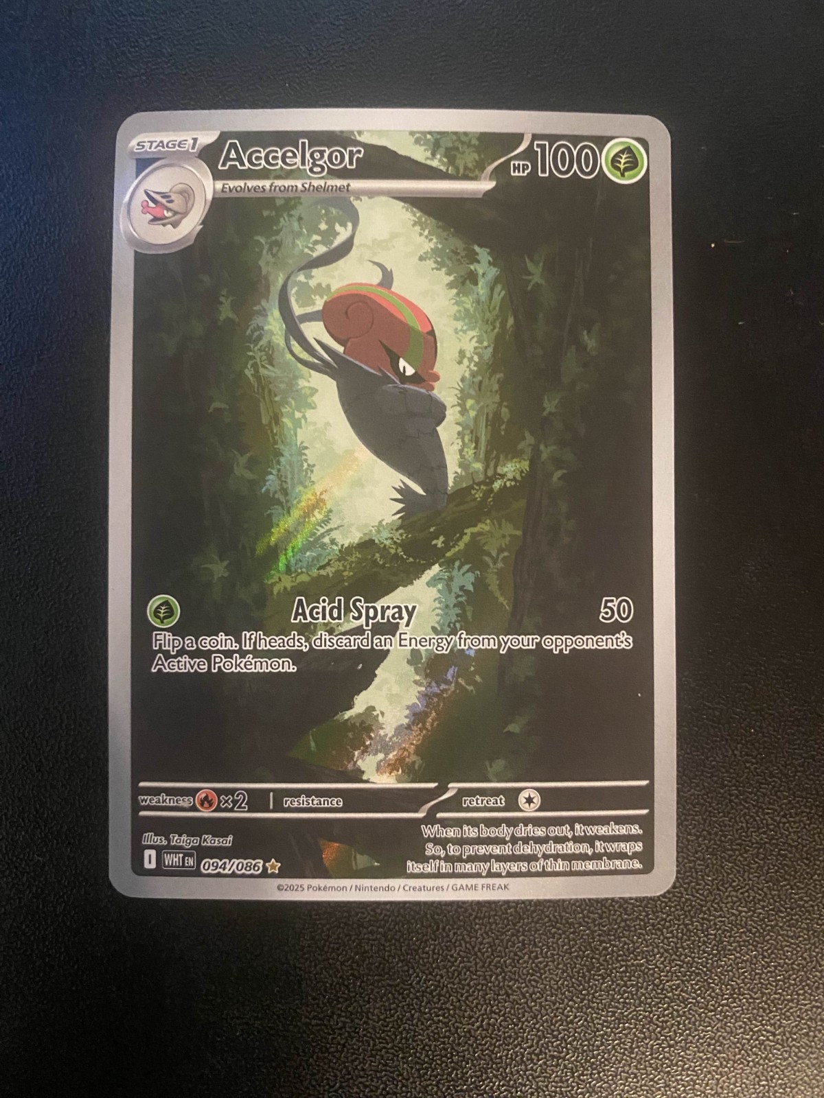 Accelgor 2025 Scarlet & Violet: White Flare #094/086 Illustration Rare  Price Guide - Sports Card Investor