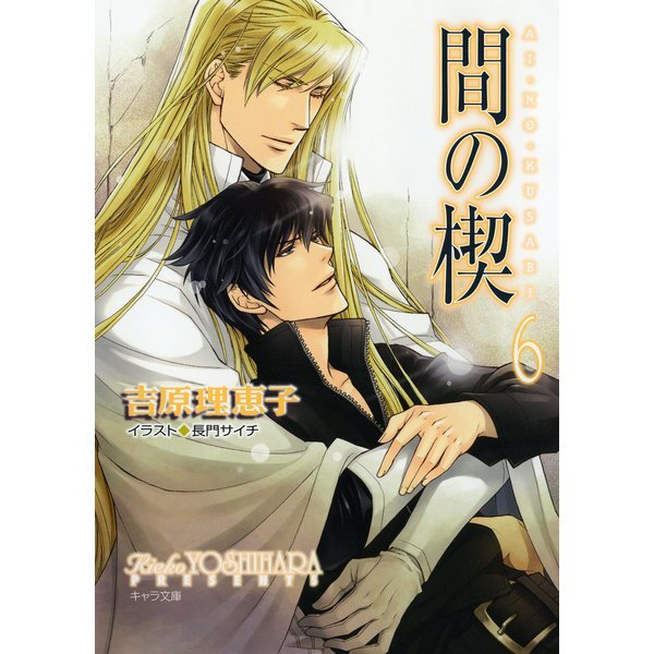 Ai no Kusabi Novel Vol.1-6 Book Rieko Yoshihara Japanese | eBay