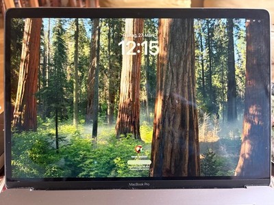MacBook Pro 15-inch, 2018 2,9 GHz 6-Core Intel Core i9 32 GB 2400 MHz DDR4