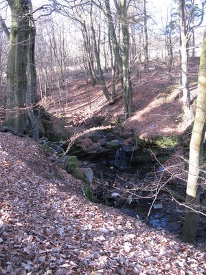 Foto A2 Eddlewood Glen Hamilton \/NS7255 Kleiner Wasserfall auf dem Brand Flo c2010