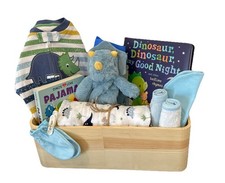Baby Boy Shower Dinosaur Themed Gift Basket, Blanket, Plush, Books Clothes Etc.