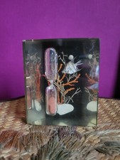 INCLUSION RÉSINE SABLIER POISSON COQUILLAGE CORAUX MER  