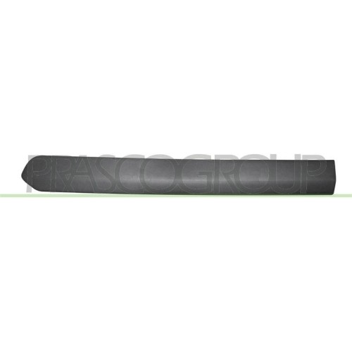 Zier /Schutzleiste TüR Prasco FT9101454 FüR Fiat Hinten Links-image