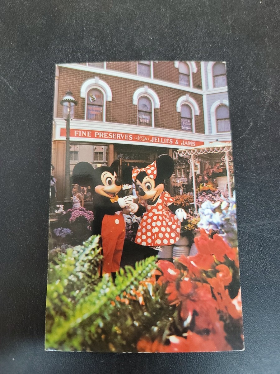 Vintage Postcard Disneyland Mickey Minnie Mouse Main St Flower