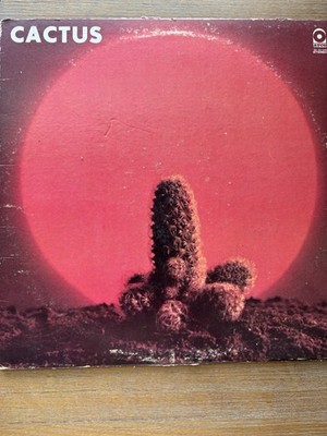 Cactus